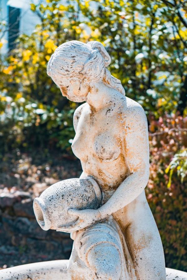 Le Mas Des Amandiers Saint-Paul-de-Vence Zewnętrze zdjęcie